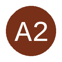 Ama 2000 FC logo