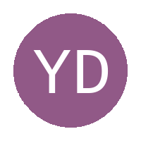 Young Diplomats logo