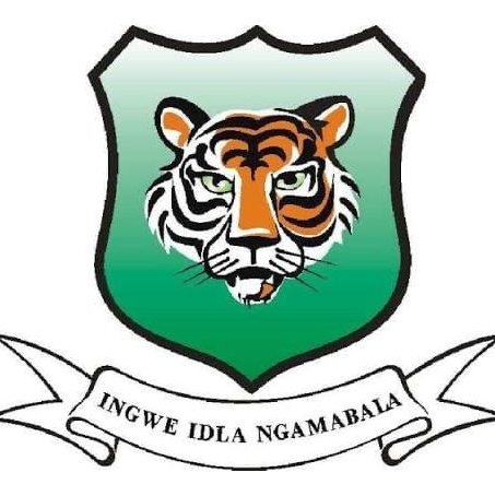 Maluti Ingwe College FC logo