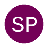 South Point FC logo