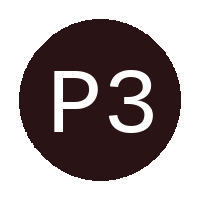 Phase 3 FC logo