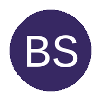 Blue Stars Academy FC logo