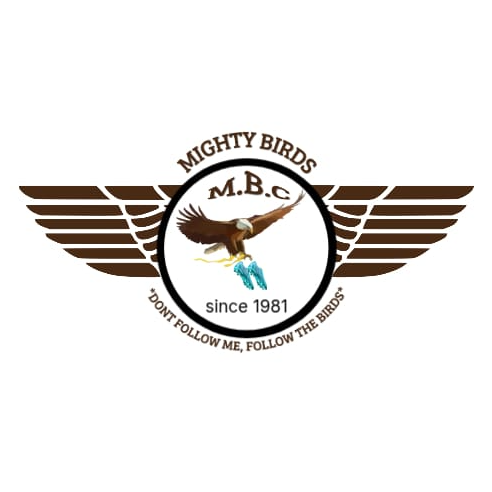 MIGHTY BIRDS logo