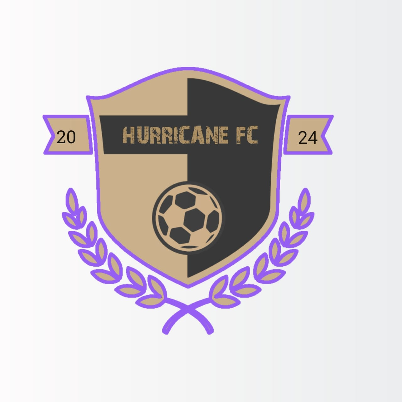 Hurricane logo