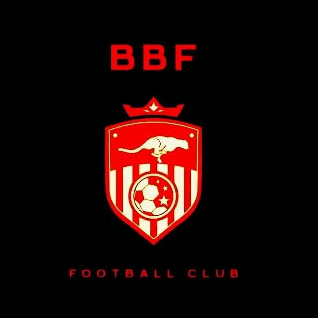 Team logo