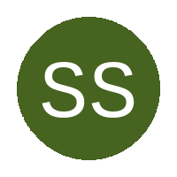 Silver Stars FC logo