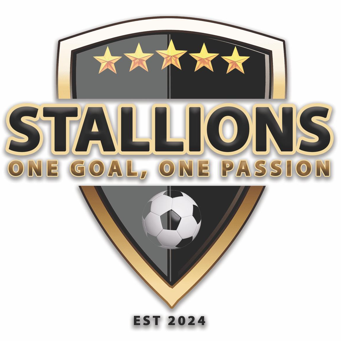 Stallions FC logo