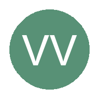 Valview Vultures FC logo