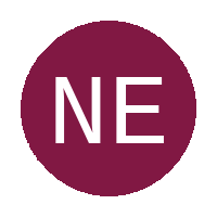 Ntlhaveni Eleven Aces FC logo