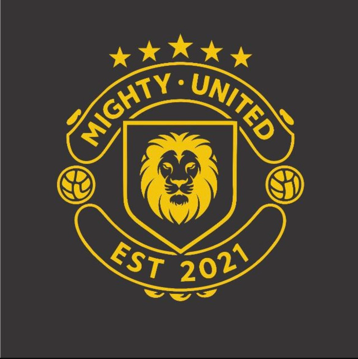 Middelburg Mighty United logo