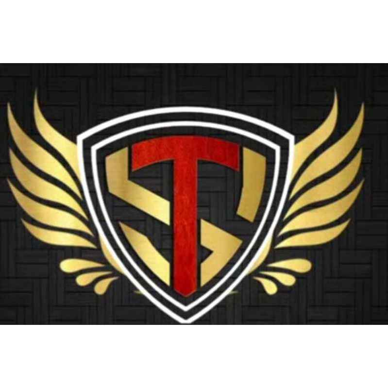 St Galaxy Ladies Football Club logo