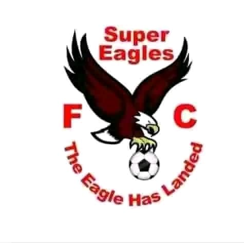 Super Eagle FC logo