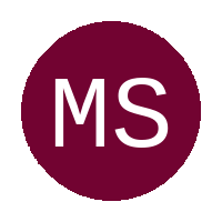 Meyerton Stars logo