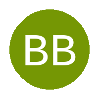 Blue Birds FC Academy logo