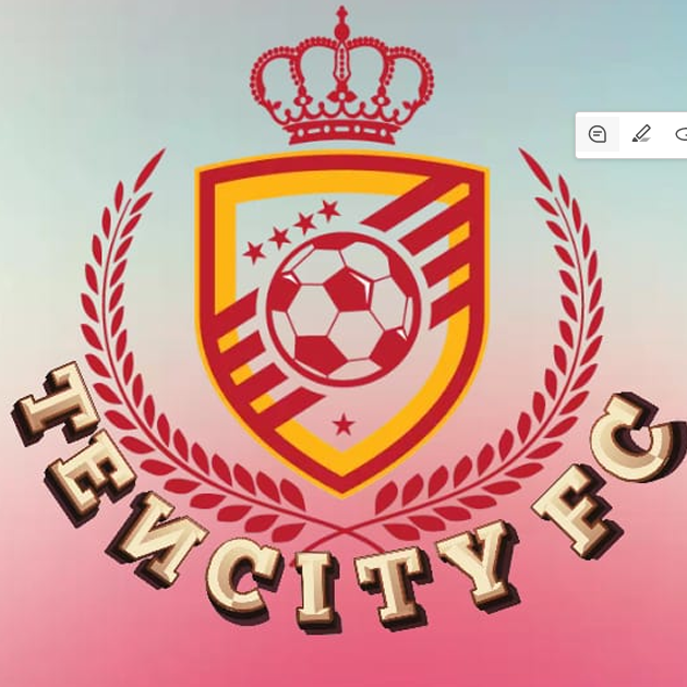 Ten City FC logo