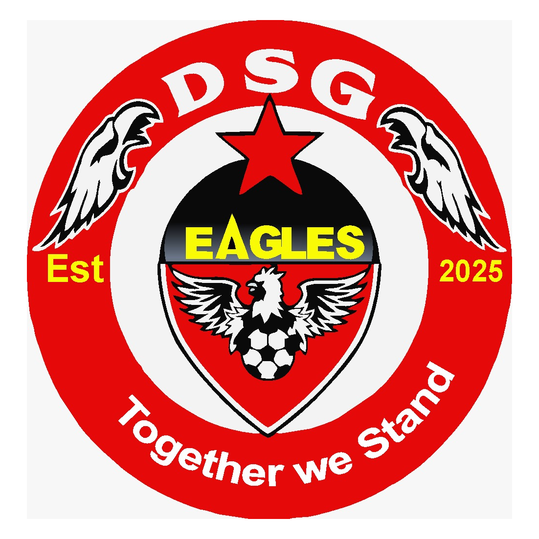 Dsg United FC logo