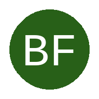Bongweni FC logo