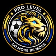 Prolevel Development logo