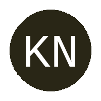Kwazulu Natal African Y0uth Talent logo