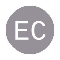 Ethekwini City Styles FC logo