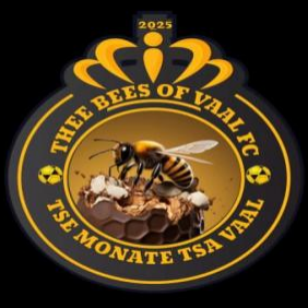 The Bees Of Vaal logo