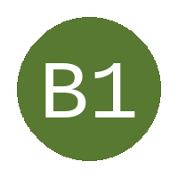 Big 15 Sc logo