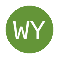 Wema Young Stars logo