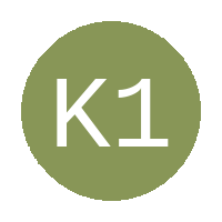 Kagiso 11 FC logo