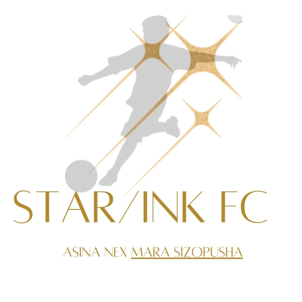 Star Link logo
