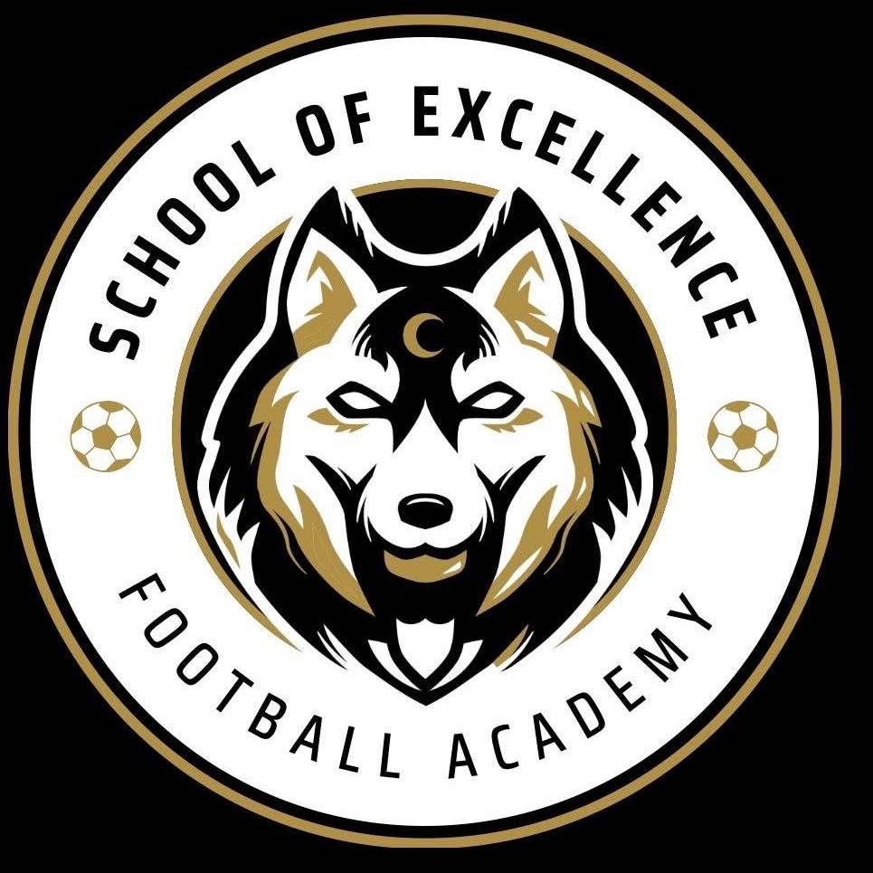 The School Of Excellence Football Academy logo