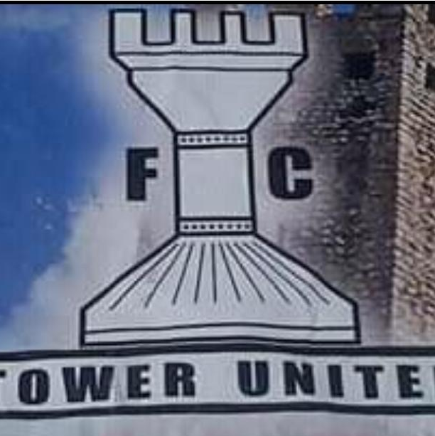 Tower Development logo