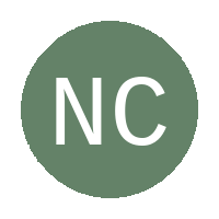 Northern Cape Young Stars FC logo