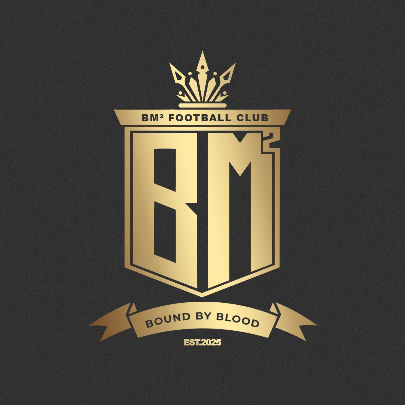 Bm FC logo