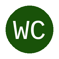 Willowvale City Sporting Club logo