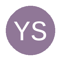 Young Stars Football Club logo