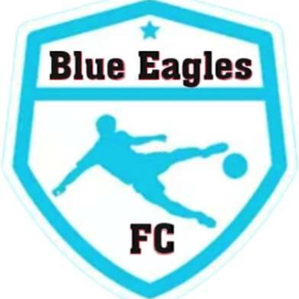 Mathibestad Blue Eagles FC logo