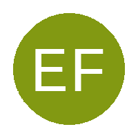 Experience FC logo