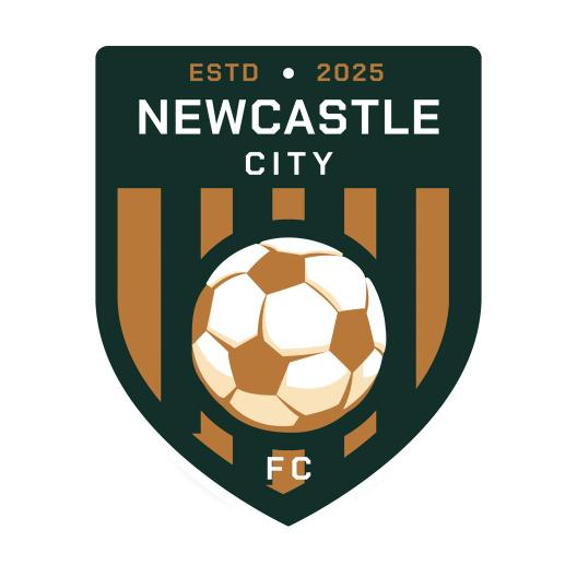 New Castle City FC logo