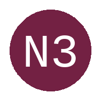 Nu 30 Future Stars FC logo