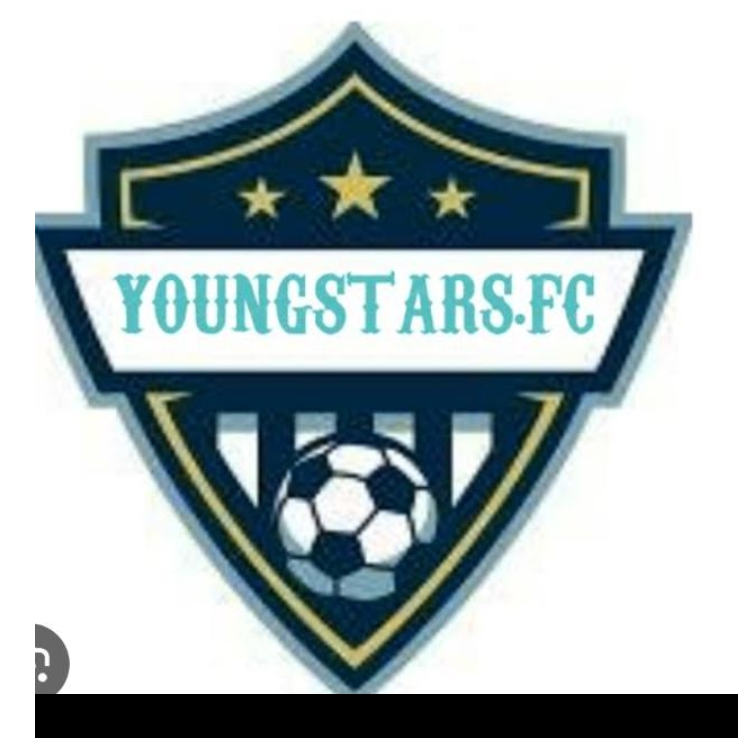 Freemanville Young Stars FC logo