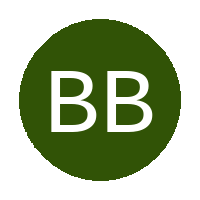 Bloemfontein Ballers FC logo