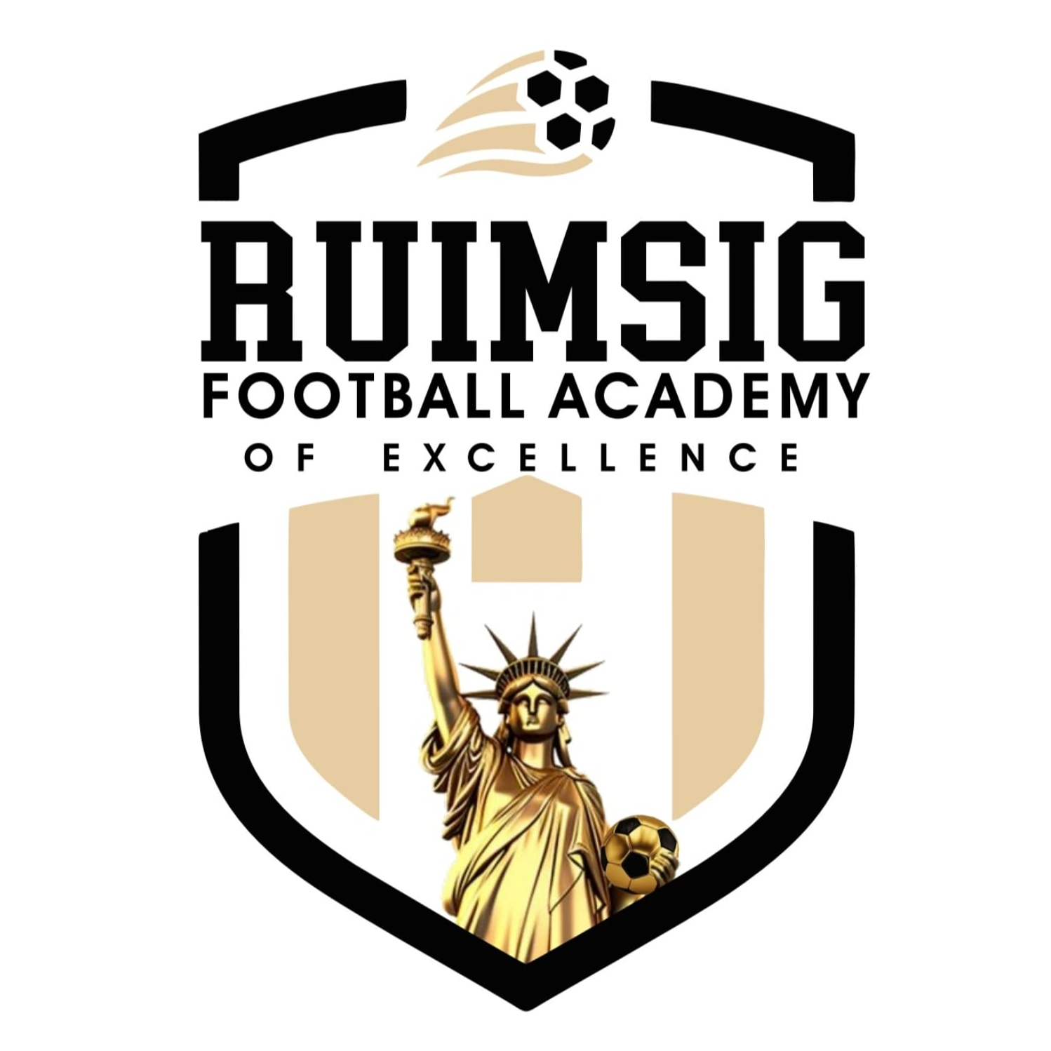 Ruimsig Football Academy Of Excellence logo