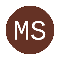 Madrit Stars FC logo