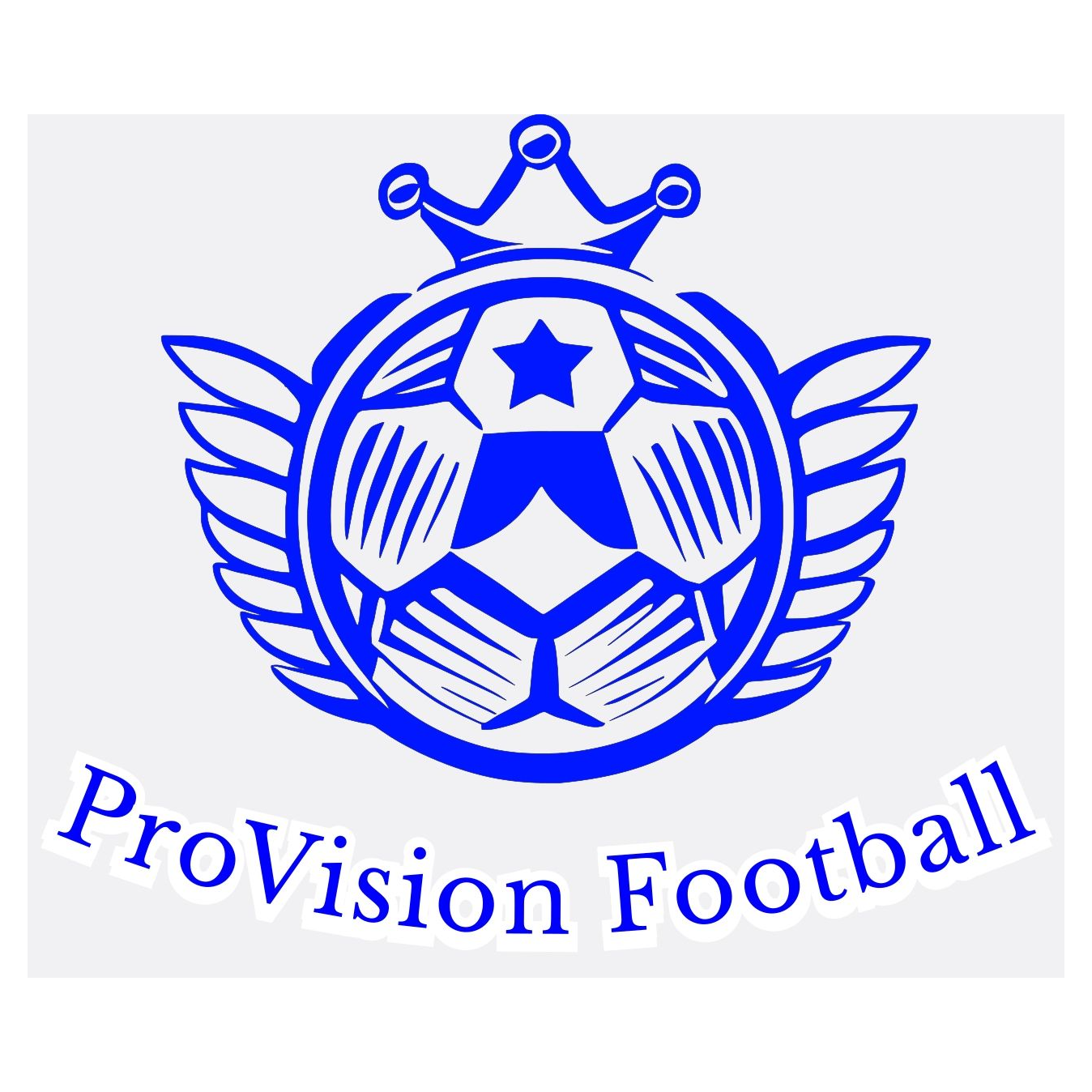 Provision Football logo