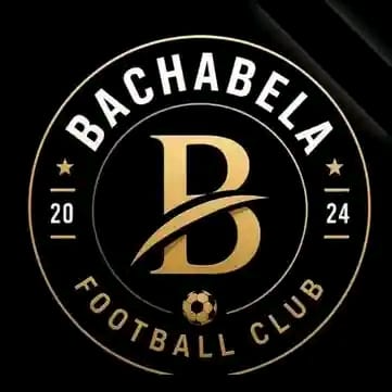 Hostel FC logo