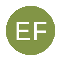Excellence FC  logo