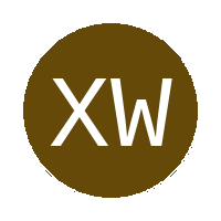 XI Wizards logo