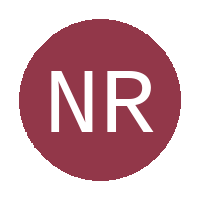 Nkunzi Real Stars FC logo