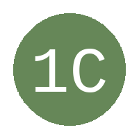 14 City FC logo