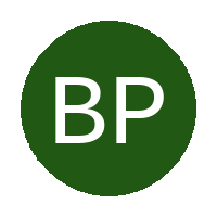 Botshelo Projects FC logo